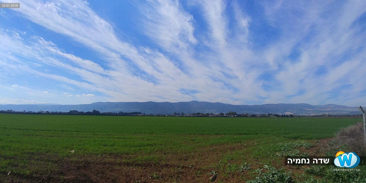 שדות ירוקים