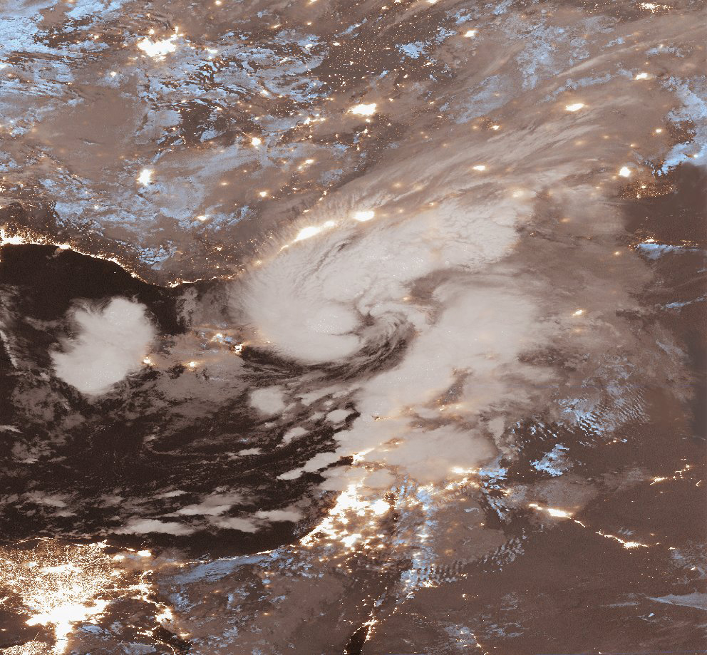 מדיקן במזרח הים התיכון