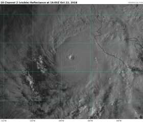 הוריקן ווילה בקטגוריה 4, צפוי לפגוע במקסיקו מחר בעוצמה נמוכה יותר