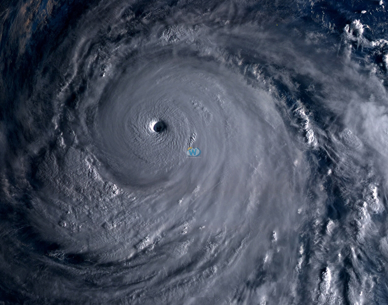 typhoon kong rey
