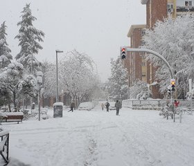 הסערה Filomena: שיאי קור נרשמו בספרד, שלג כבד יורד בבירה מדריד