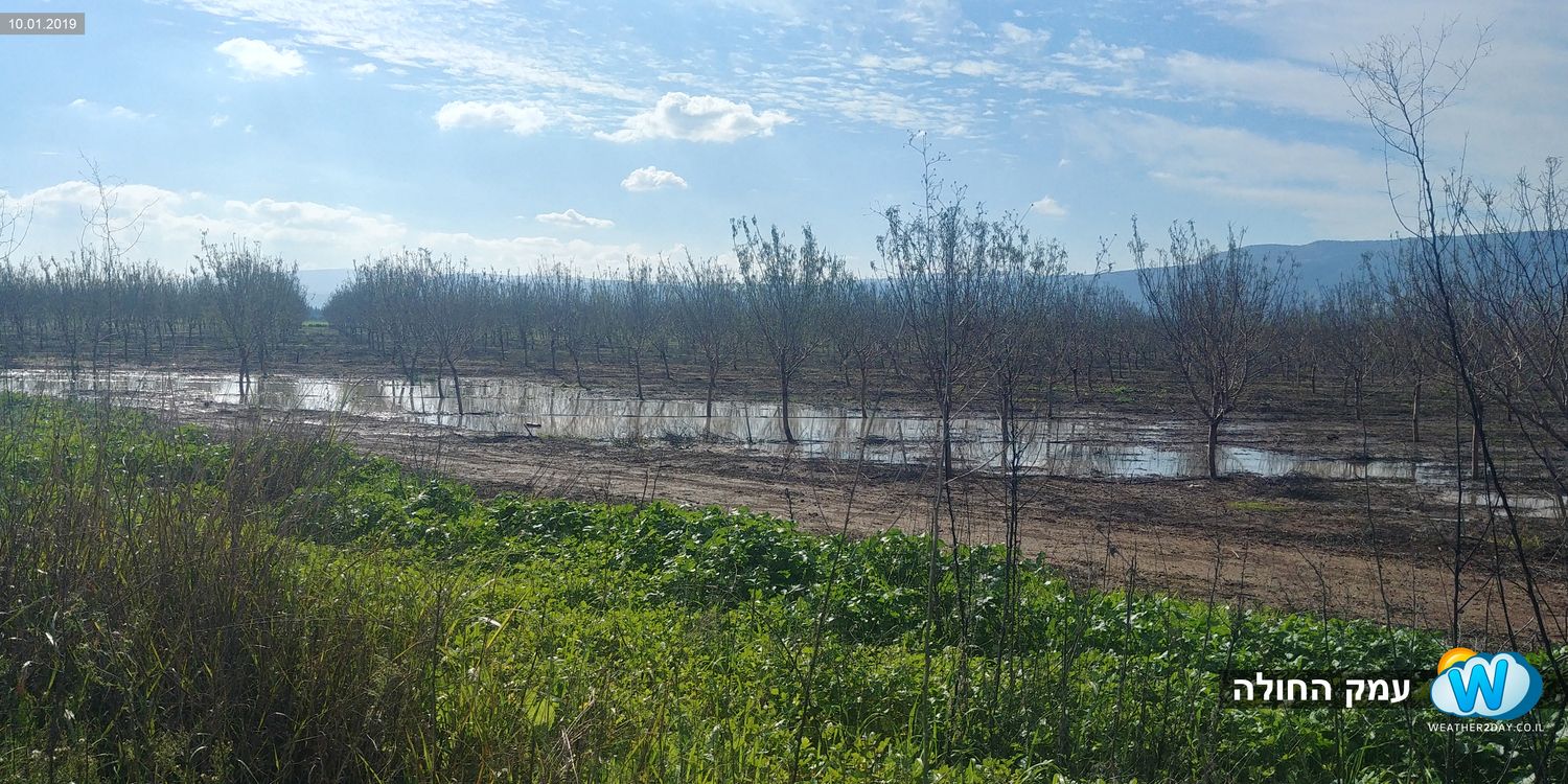 הצפות במטעים עמק החולה