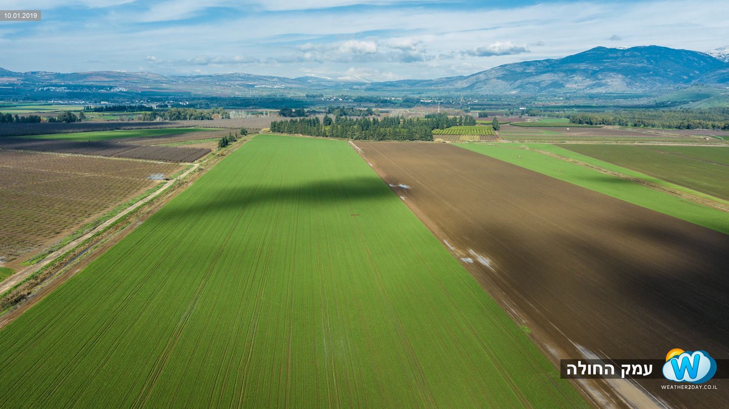 שדות חקלאיים
