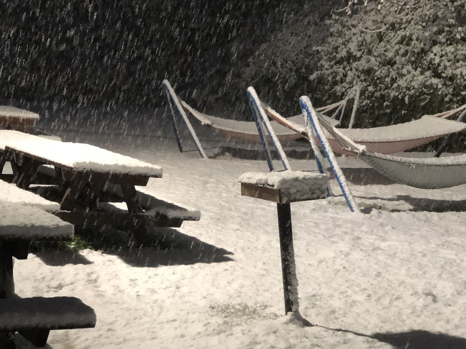 שלג בצפון הגולן