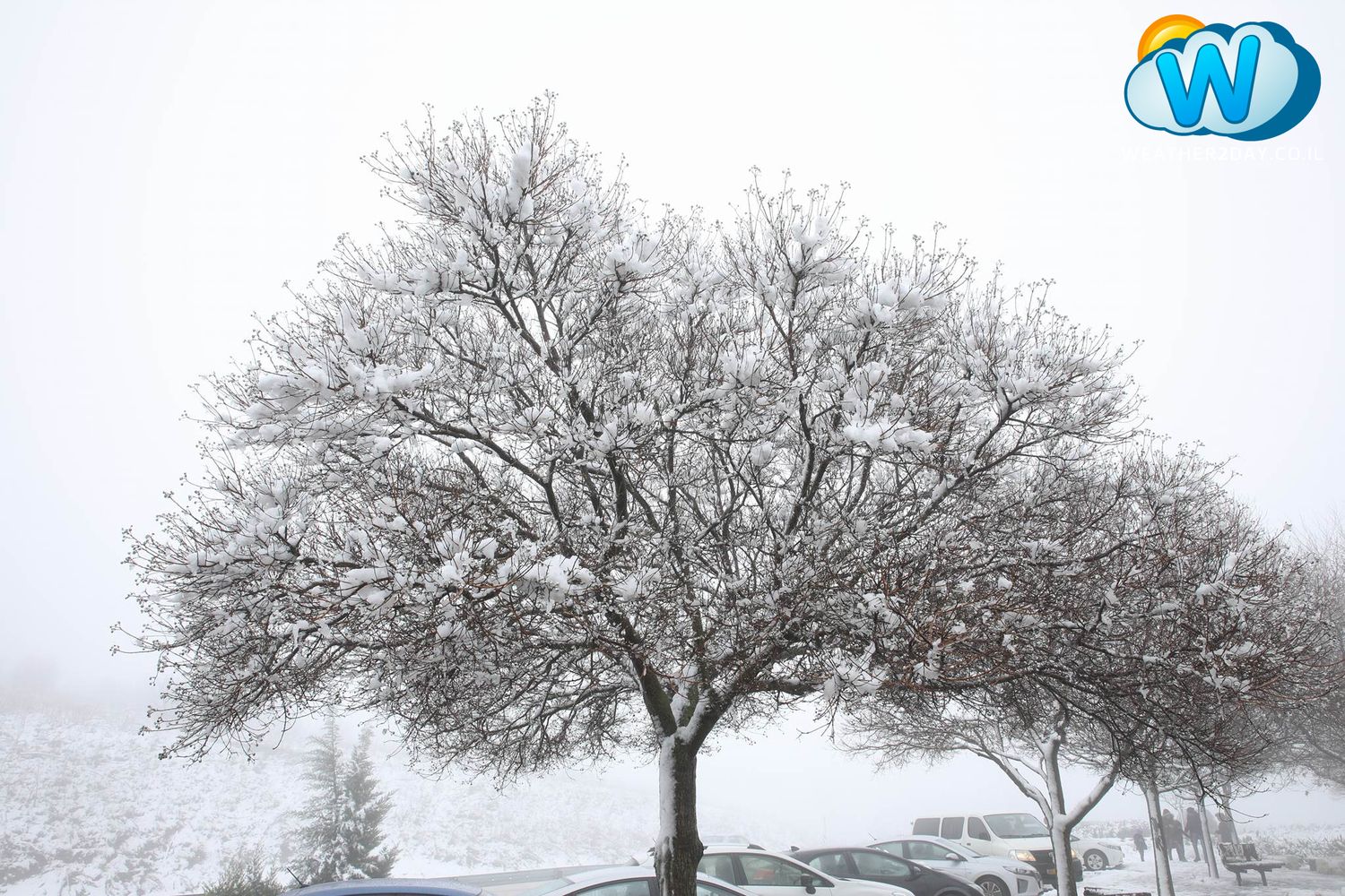 עין זיוון שלג