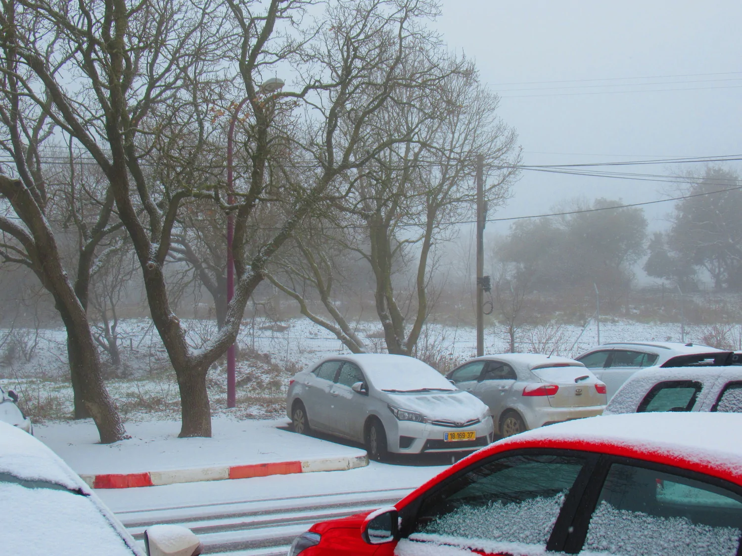 שלג במרום גולן